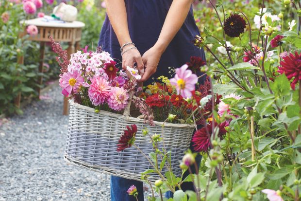 The most beautiful of our countryside